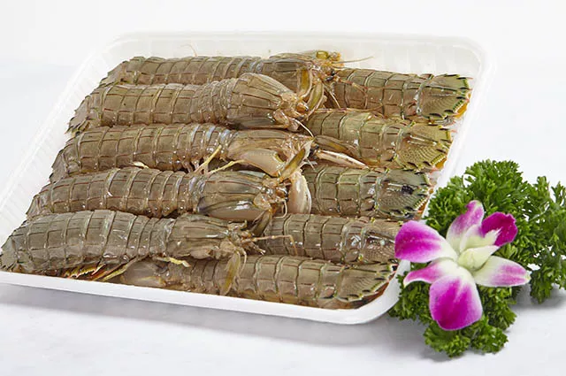 һ�ɳ���300����Ϸ(�й���)���ٷ���վ