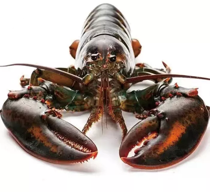 һ�ɳ���300����Ϸ(�й���)���ٷ���վ